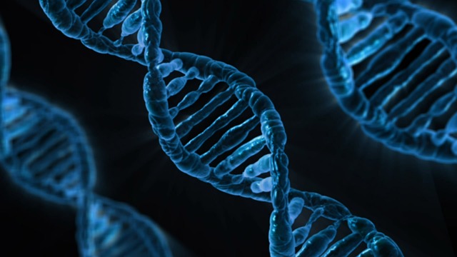Φυλλικό οξύ και γονίδια: υπάρχει συσχέτιση;