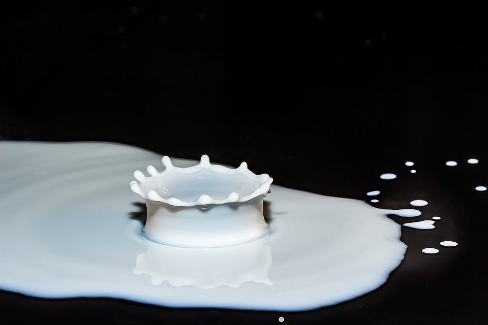 8 Υποκατάστατα γάλακτος που μπορείτε να χρησιμοποιήσετε στην καθημερινότητα σας.