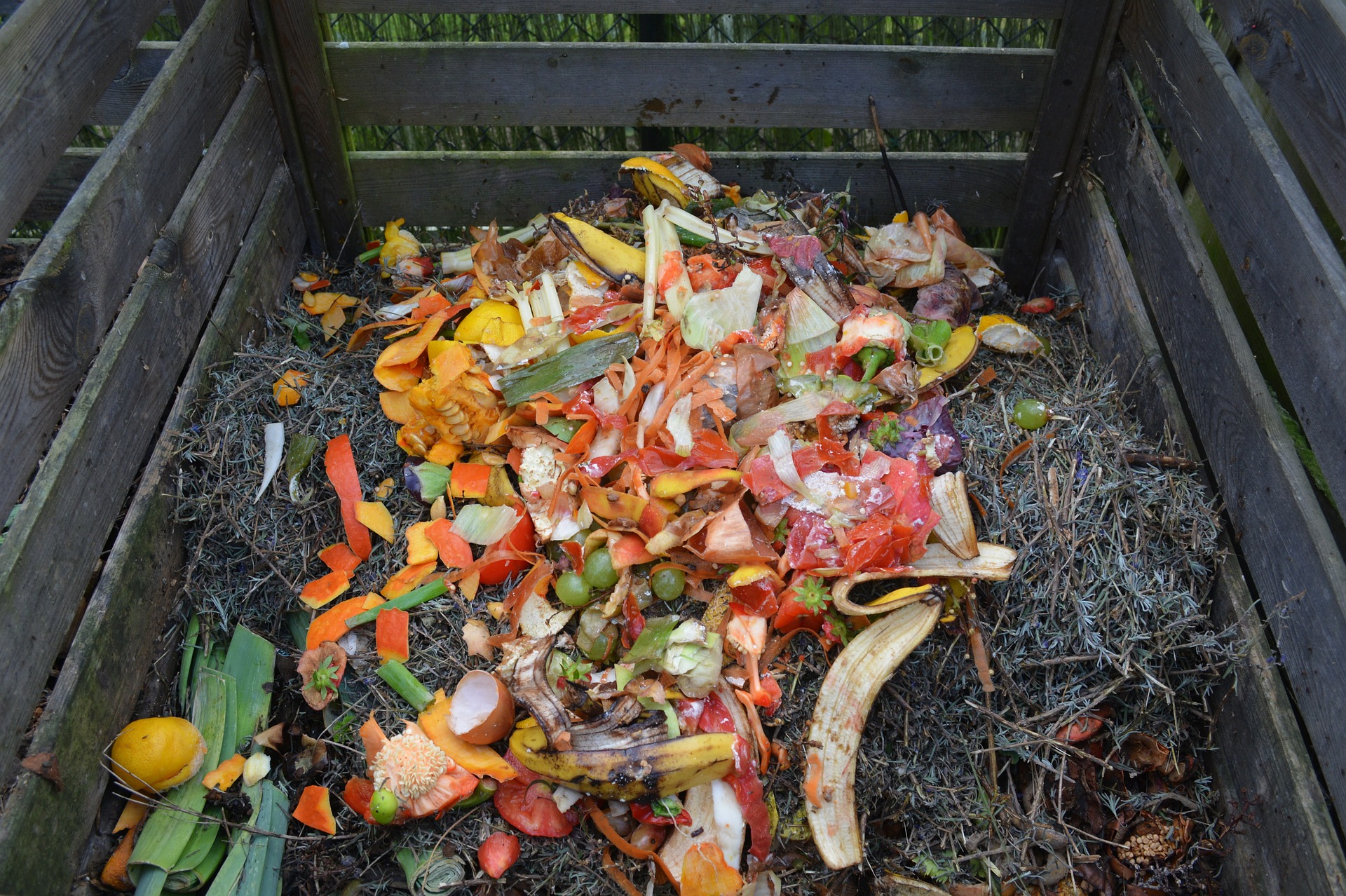 Food waste ή όπως λέμε σπατάλη τροφίμων