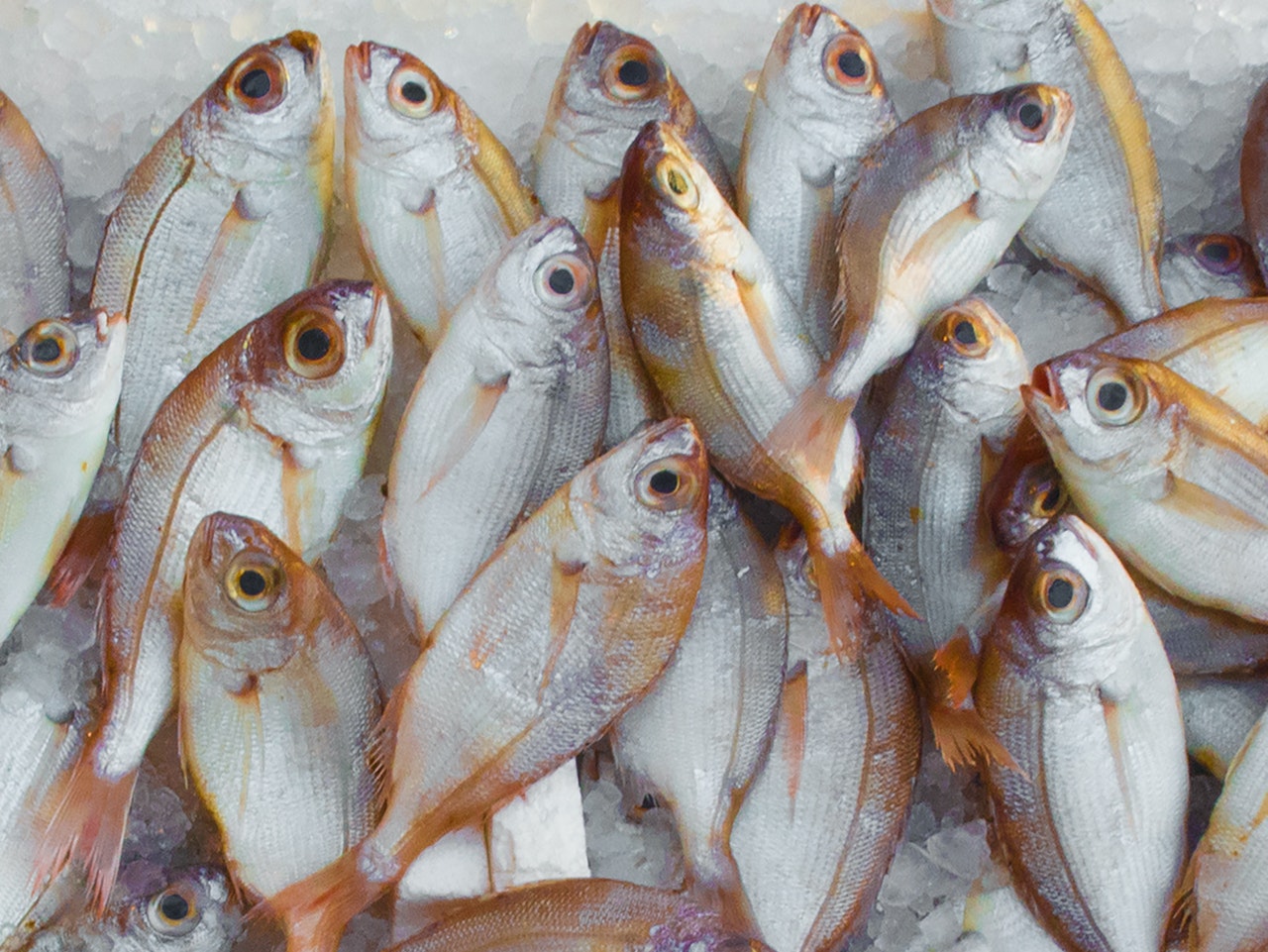 Κατανάλωση ψαριού και αδυνάτισμα: βοηθάει;